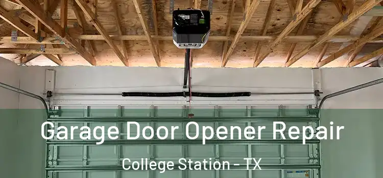  Garage Door Opener Repair College Station - TX